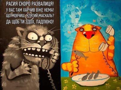 Прикрепленное изображение: cats.jpg